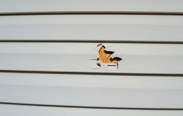 Siding Hole Repair in Meridian