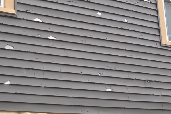 Damaged Siding Replacement in Meridian