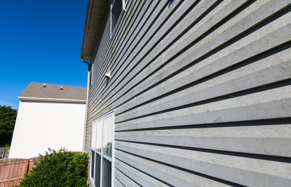 Cost of Vinyl Siding Panel Replacement in Meridian